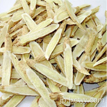 astragalus membranaceusティールート